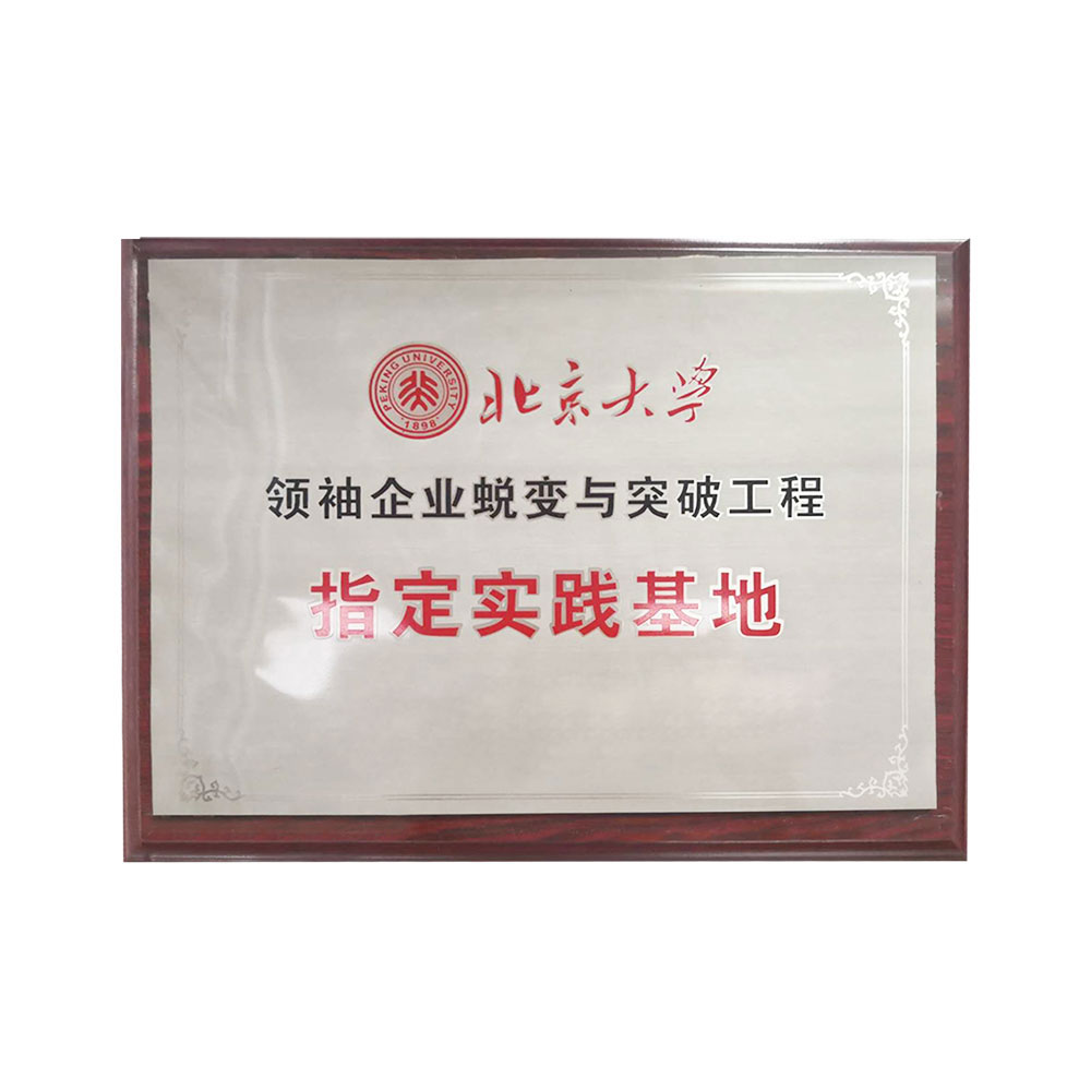 Leader enterprise transformation and breakthrough project designated practice base