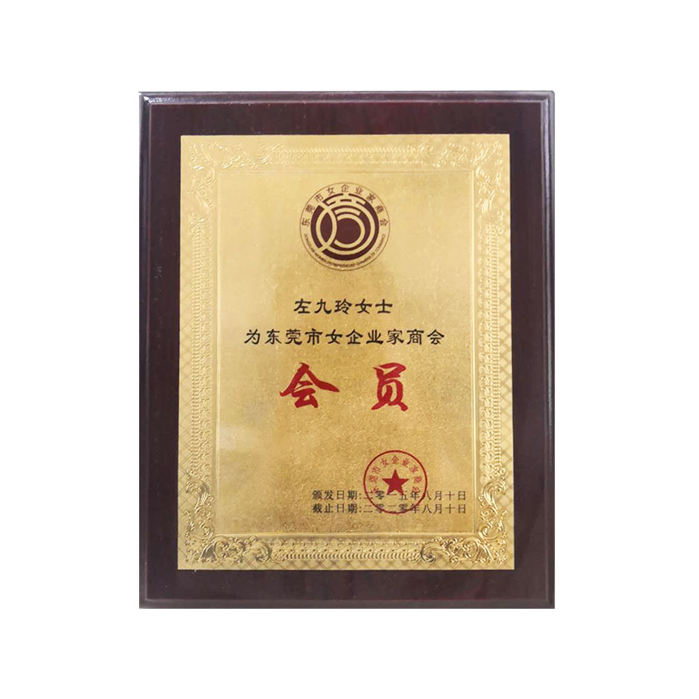 Member of dongguan female entrepreneurs chamber of commerce
