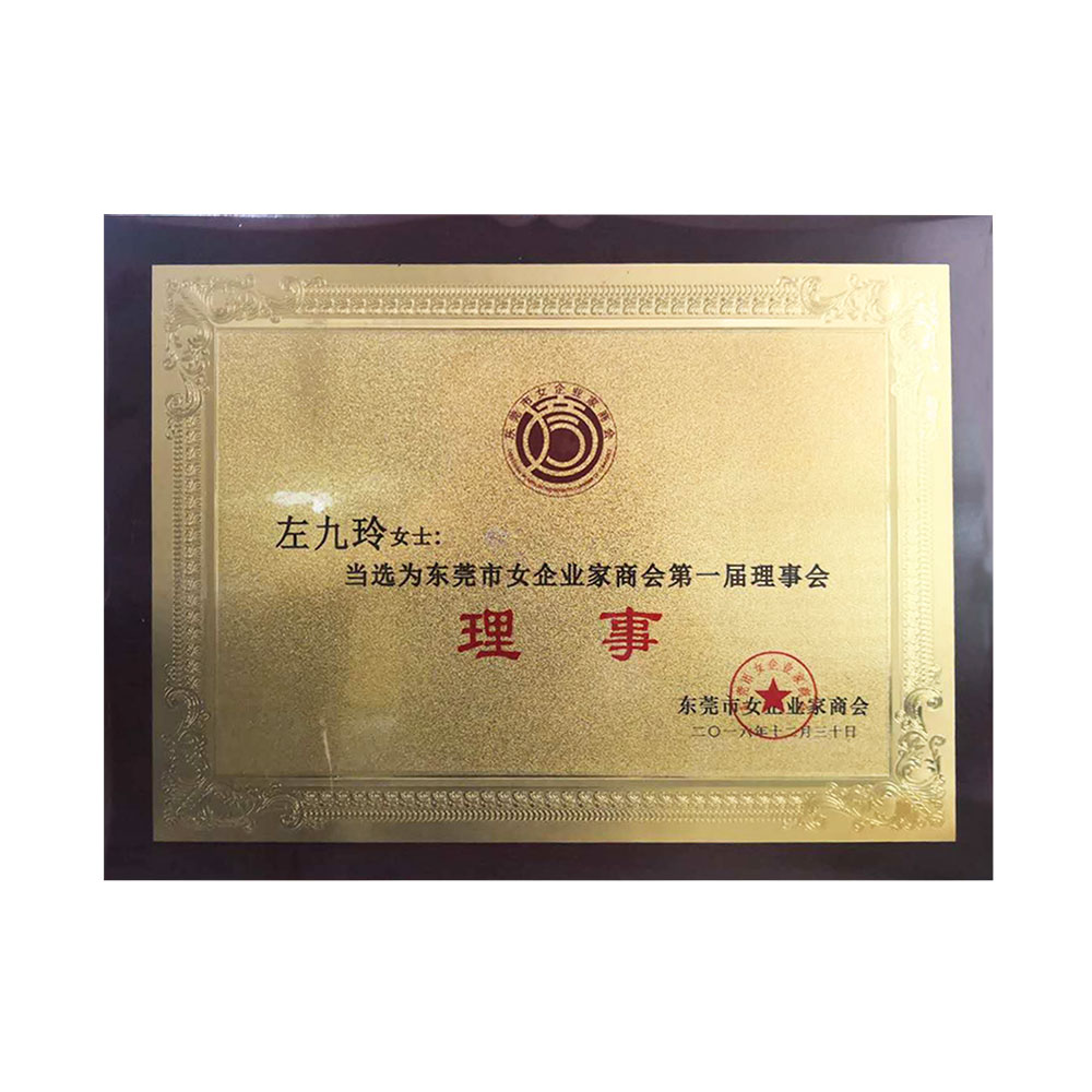 Member of the first council of dongguan female entrepreneurs chamber of commerce