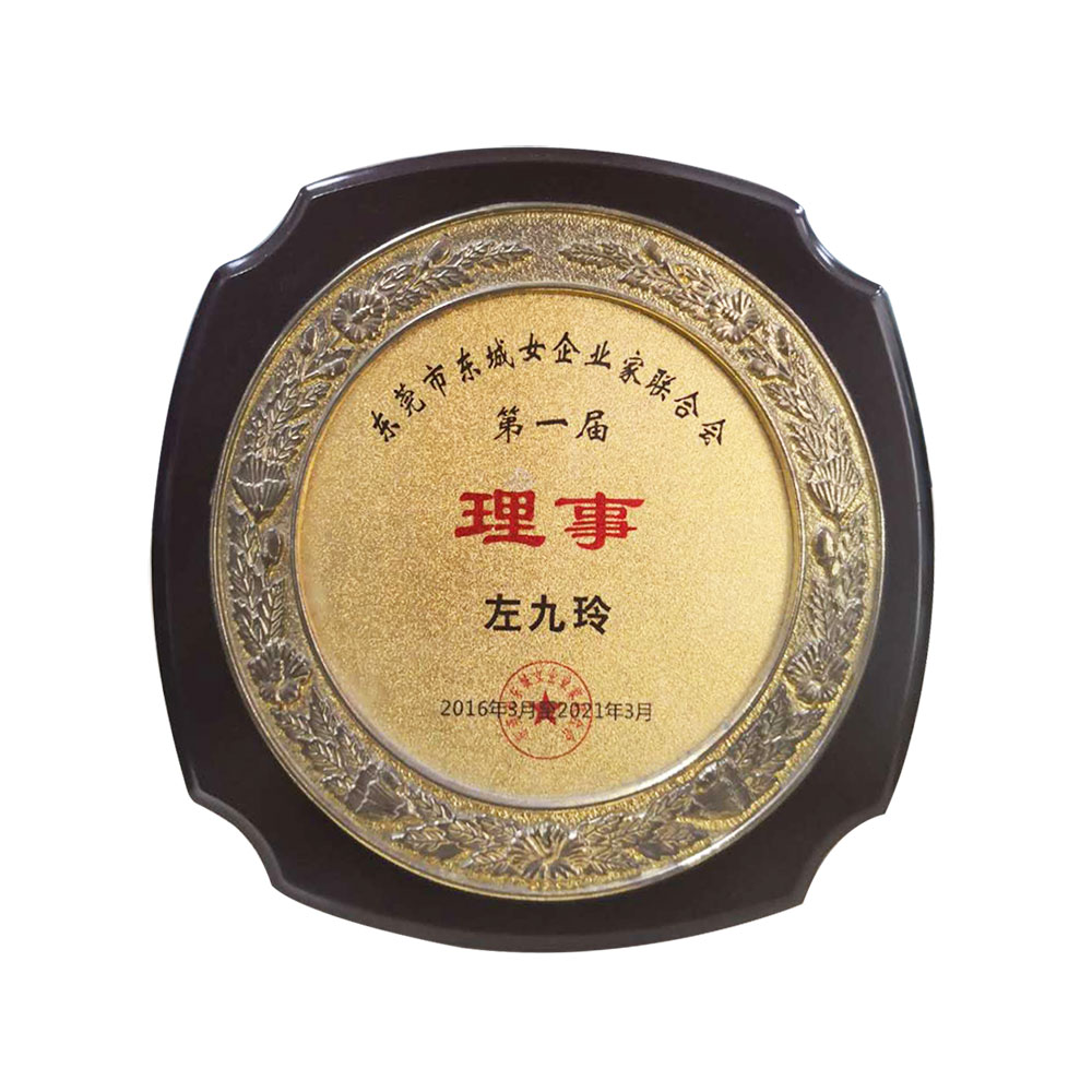 The first council member of dongguan dongcheng women entrepreneurs association
